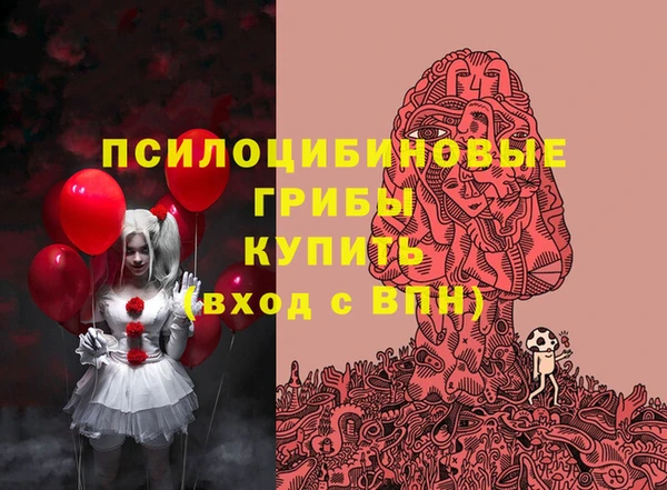 винт Наволоки