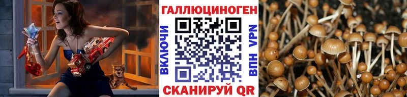 KRAKEN ТОР  цены   Петушки  Галлюциногенные грибы Magic Shrooms 